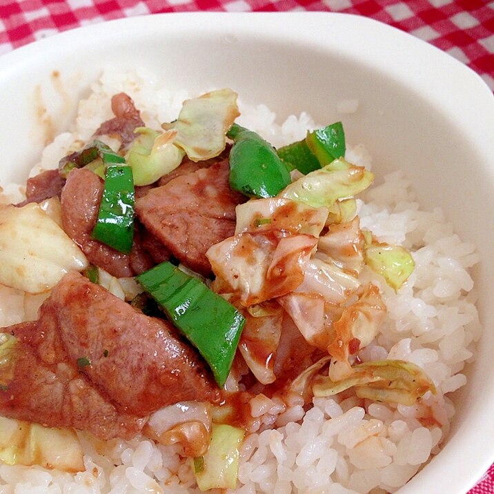 簡単！野菜と豚肉の丼★